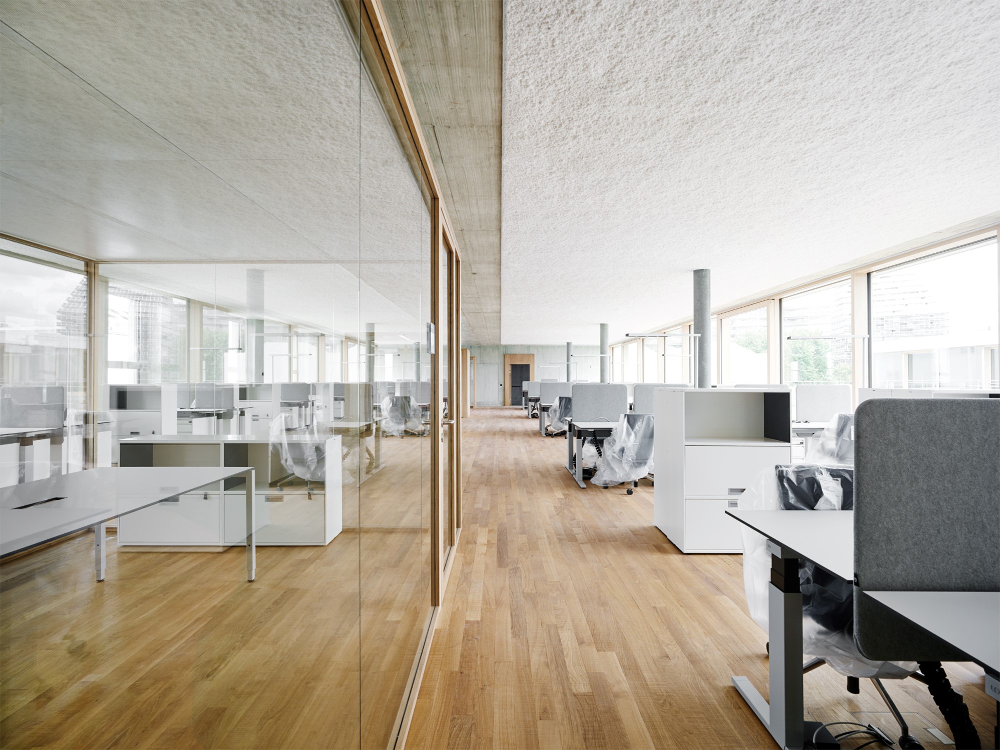 DSBG-openspace-SZARC.jpg