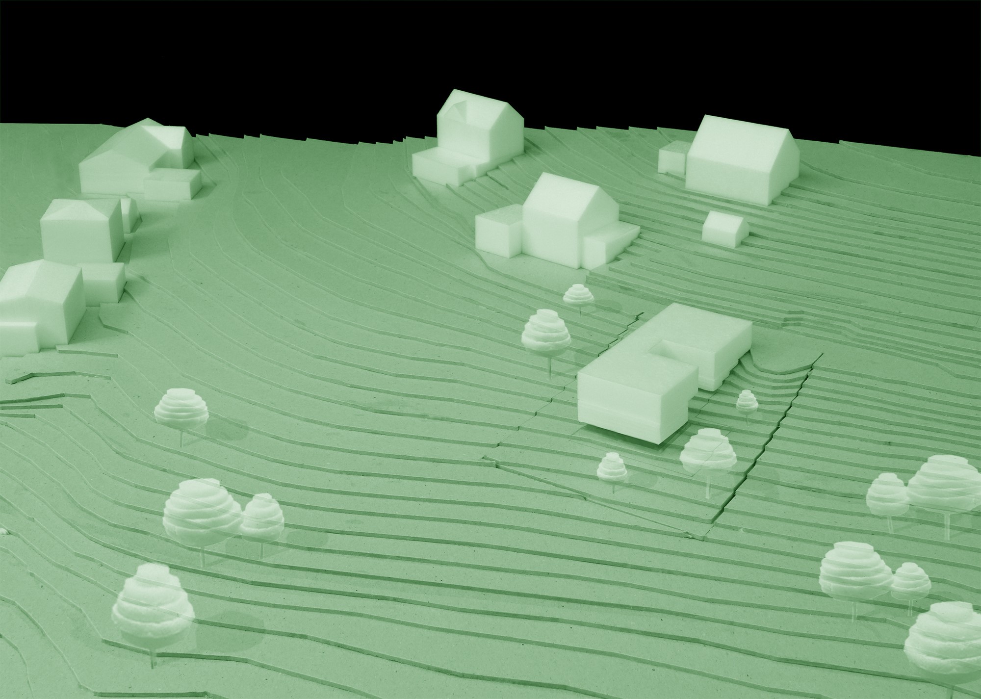 051_MODELL_1-200-Kubatur_00001_BaumeSchatten2_Web_green_2.jpg