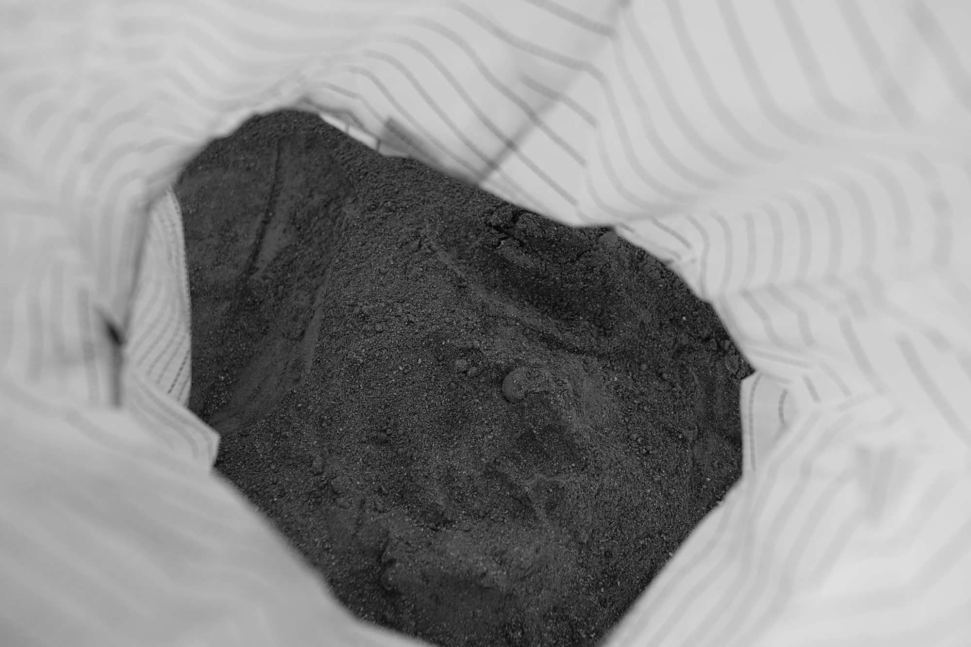 048_Dom_Imho_Dust.jpg